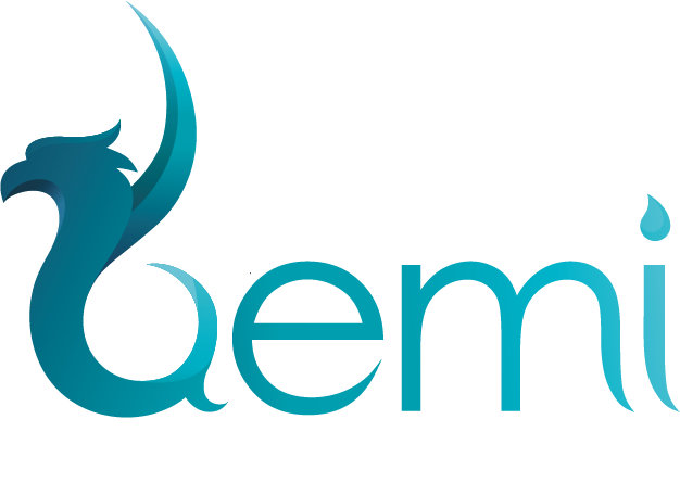 Demi Coaching